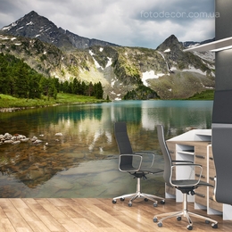 Выбрать фотообои на стену Природа в интернет магазине Fotodecor