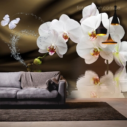 Выбрать фотообои на стену Коричневые в интернет магазине Fotodecor