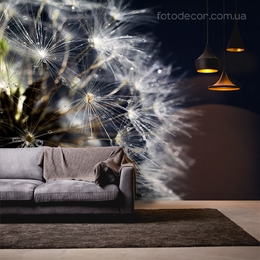 Выбрать фотообои на стену Чёрные в интернет магазине Fotodecor