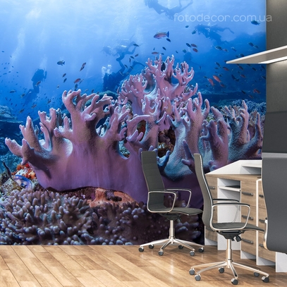 Фотообои для стен Коралл от студии интерьерного декора Fotodecor