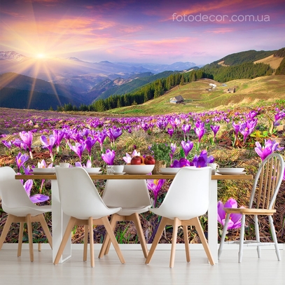 Фотообои для стен Крокусы в горах от студии интерьерного декора Fotodecor