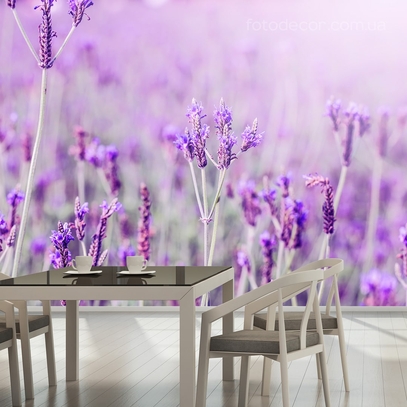 Фотообои для стен Лаванда от студии интерьерного декора Fotodecor