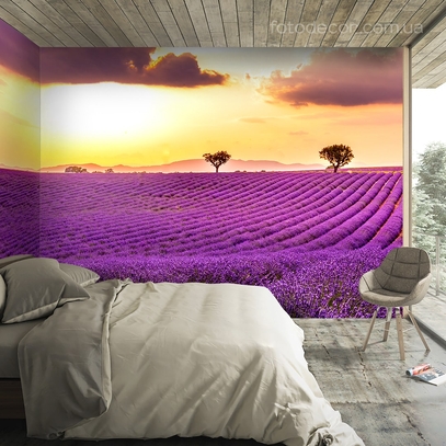 Фотообои для стен Лаванда на закате от студии интерьерного декора Fotodecor