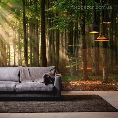 Фотообои для стен Лес с лучами солнца от студии интерьерного декора Fotodecor