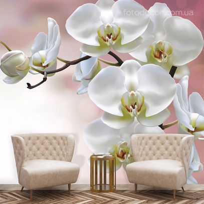 Фотообои для стен Ветка белых орхидей от студии интерьерного декора Fotodecor