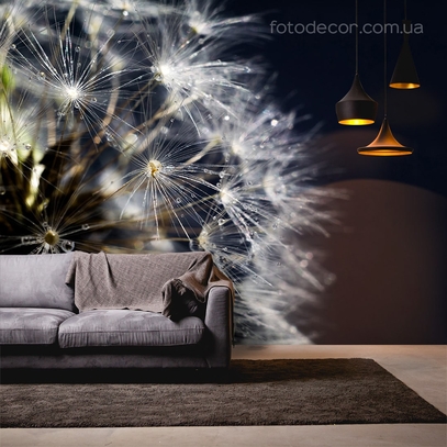 Фотообои для стен Одуванчик макро от студии интерьерного декора Fotodecor