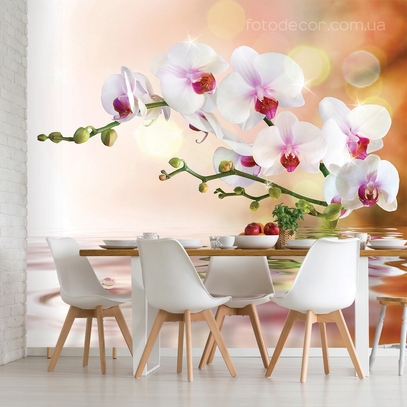 Фотообои для стен Белые орхидеи на воде от студии интерьерного декора Fotodecor