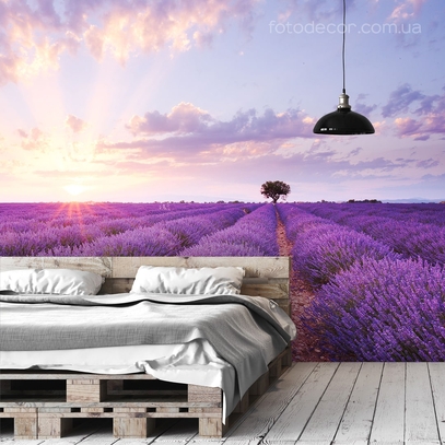 Фотообои для стен Лаванда на рассвете от студии интерьерного декора Fotodecor