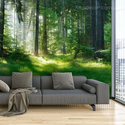 Фотообои для стен Лесная поляна от студии интерьерного декора Fotodecor