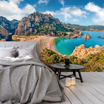 Фотообои для стен Дикий пляж от студии интерьерного декора Fotodecor