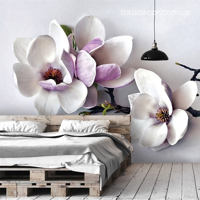 Фотообои для стен Ветка магнолии от студии интерьерного декора Fotodecor