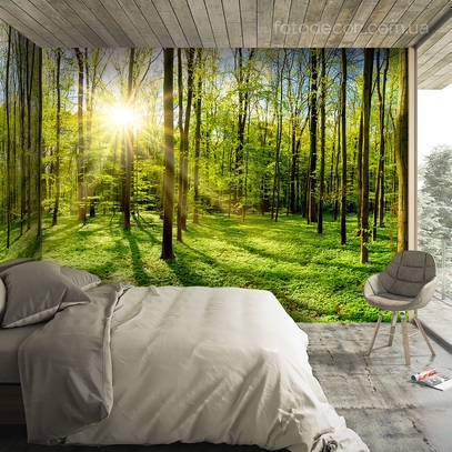 Фотообои для стен Раннее утро в лесу от студии интерьерного декора Fotodecor